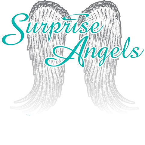 SurpriseAngels-Logo2017 Webpic